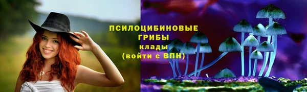 трава Верхнеуральск