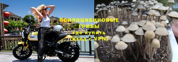 трава Верхнеуральск