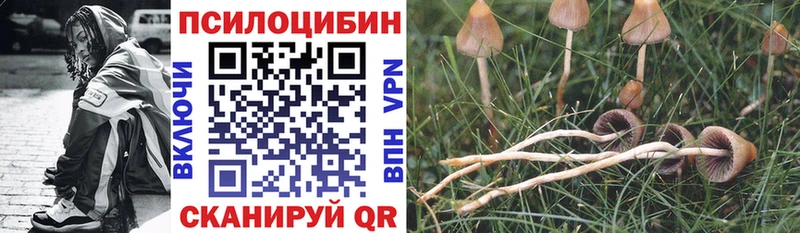 Псилоцибиновые грибы прущие грибы  Калачинск 