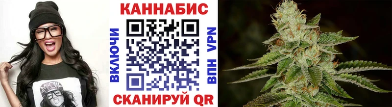 Конопля сатива  Калачинск 